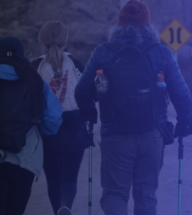 Seminario Virtual: “Democracia Participativa: Ideas y Herramientas para su realización”.