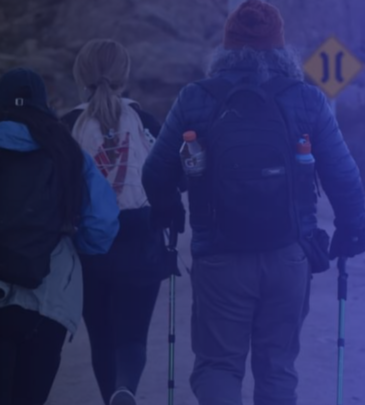 Seminario Virtual: “Democracia Participativa: Ideas y Herramientas para su realización”.